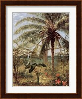 Framed Palm Tree, Nassau 1892