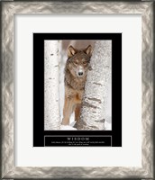 Framed Wisdom - Gray Wolf