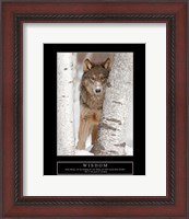 Framed Wisdom - Gray Wolf