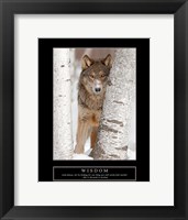 Framed Wisdom - Gray Wolf