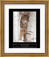 Framed Wisdom - Gray Wolf