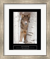 Framed Wisdom - Gray Wolf