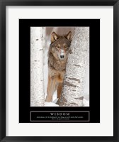 Framed Wisdom - Gray Wolf