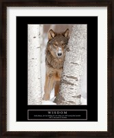 Framed Wisdom - Gray Wolf