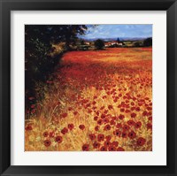 Framed Field Of Red And Gold