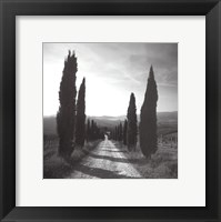 Framed Mensano, Tuscany