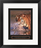 Framed Excellence - Bengal Tiger