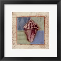 Framed Shell Accents I