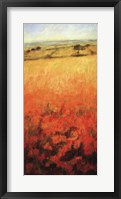 Framed Field With Poppies