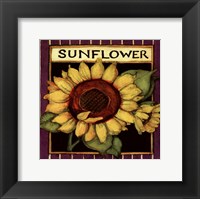 Framed Sunflower Seed Packet