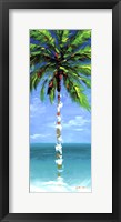 Framed Coastal Palm III