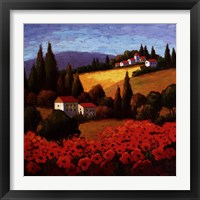 Framed Tuscan Poppies