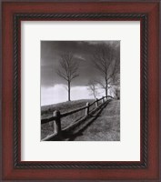 Framed Fences And Trees, Empire, Michigan