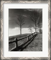 Framed Fences And Trees, Empire, Michigan