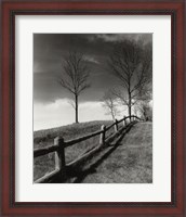 Framed Fences And Trees, Empire, Michigan