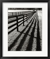 Framed Fences And Shadows, Florida