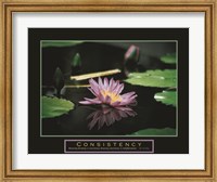 Framed Consistency - Pond Flower