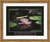 Framed Consistency - Pond Flower