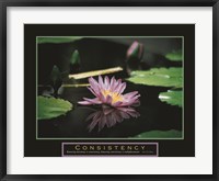 Framed Consistency - Pond Flower