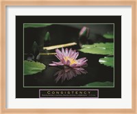 Framed Consistency - Pond Flower