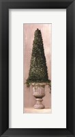 Framed Florentine Topiary ll