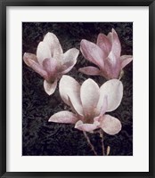 Framed Pink Magnolias II