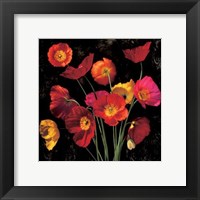Framed Poppy Bouquet II