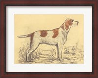 Framed Hunting Dogs-Griffon