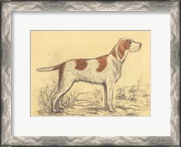 Framed Hunting Dogs-Griffon