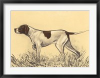 Framed Hunting Dogs-Pointer