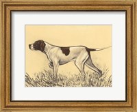 Framed Hunting Dogs-Pointer