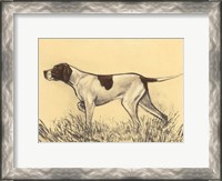 Framed Hunting Dogs-Pointer