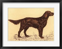 Framed Hunting Dogs-Setter