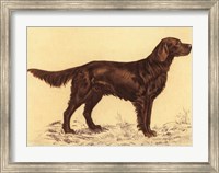 Framed Hunting Dogs-Setter