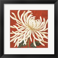 Framed Spider Mum I