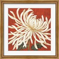 Framed Spider Mum I