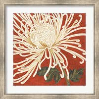 Framed Spider Mum II