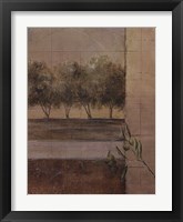 Framed Olive Groves II