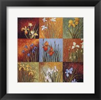 Iris Fields I Framed Print