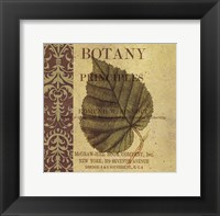 Framed Botany Principles III
