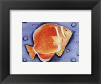 Framed White Spotted Island Fish