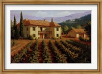 Framed Tuscan Vineyard