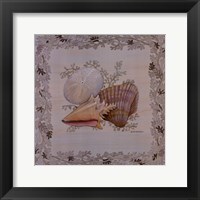 Framed Pastel Shell I