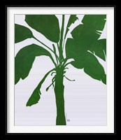 Framed Silhouette Of Palm 2