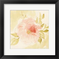 Framed Stardust Peony