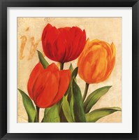 Framed Red, Orange, Yellow Tulips