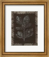 Framed Forest Finery II
