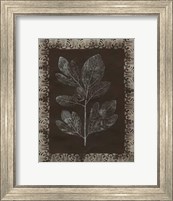 Framed Forest Finery II