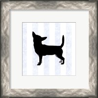 Framed Chihuahua In Neutral