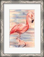 Framed Pink Flamingo I